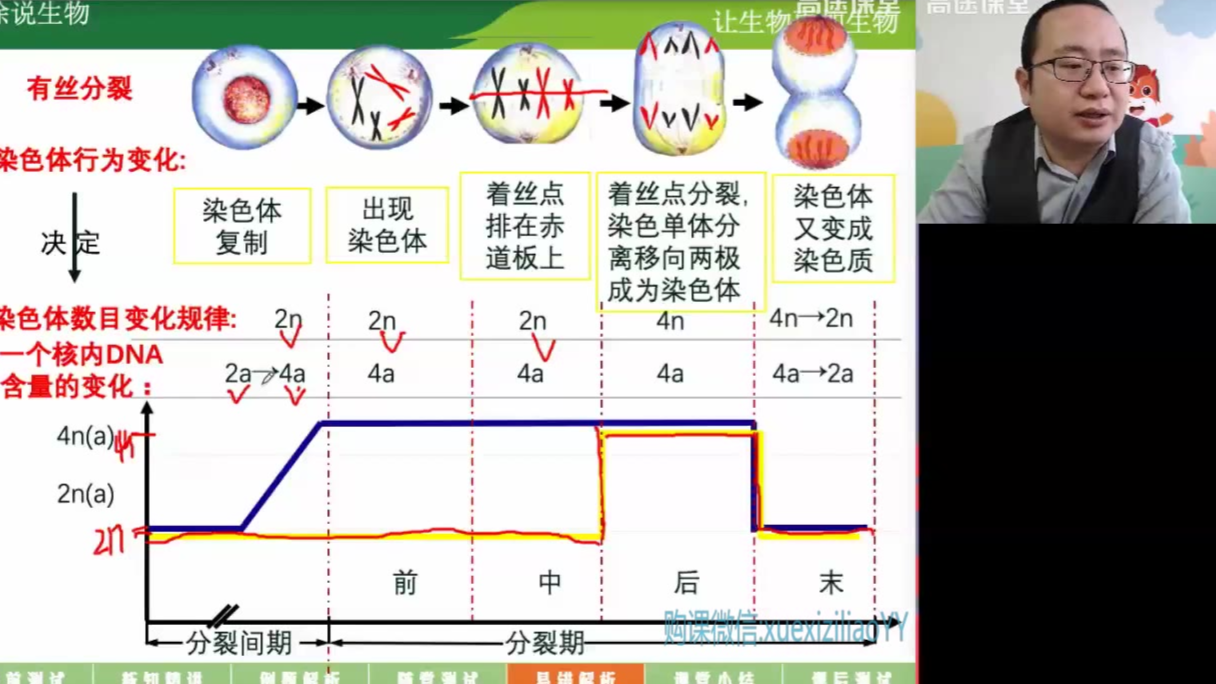 2020徐京高一生物秋季减数分裂
